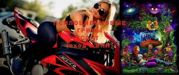 прущие грибы Алексеевка